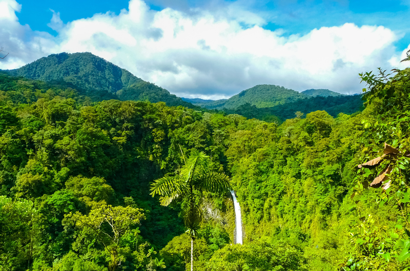 Forest, Water, and Struggle: Environmental Movements in Costa Rica